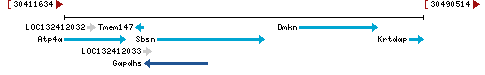 Genomic Context describing neighboring genes