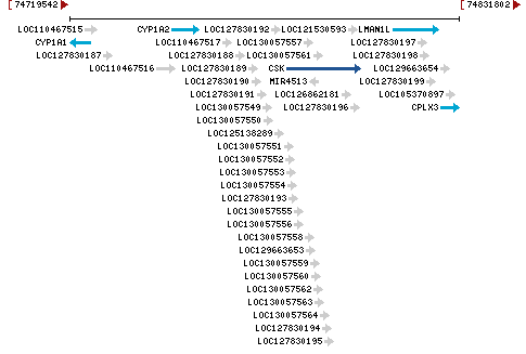 Genomic Context describing neighboring genes