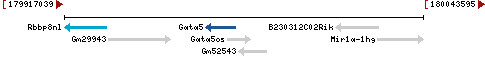 Genomic Context describing neighboring genes