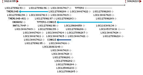 Genomic Context describing neighboring genes