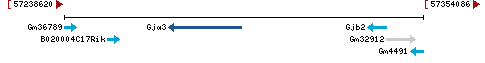 Genomic Context describing neighboring genes