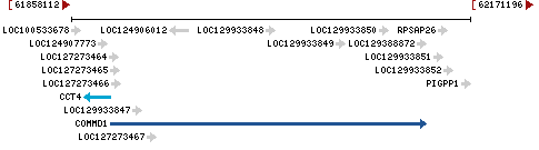 Genomic Context describing neighboring genes