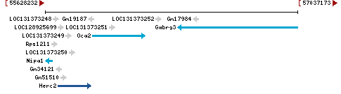 Genomic Context describing neighboring genes