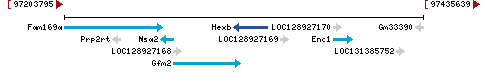 Genomic Context describing neighboring genes