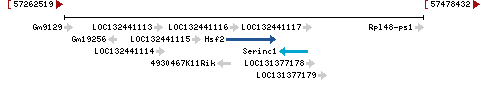 Genomic Context describing neighboring genes