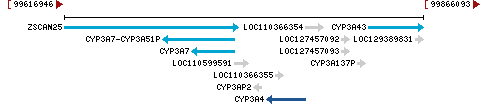 Genomic Context describing neighboring genes