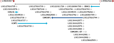 Genomic Context describing neighboring genes