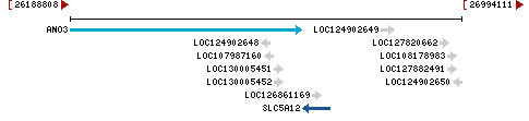 Genomic Context describing neighboring genes