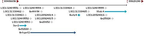 Genomic Context describing neighboring genes