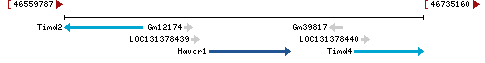 Genomic Context describing neighboring genes