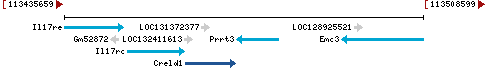 Genomic Context describing neighboring genes