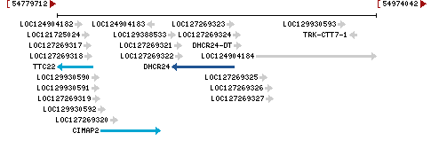 Genomic Context describing neighboring genes