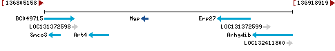 Genomic Context describing neighboring genes