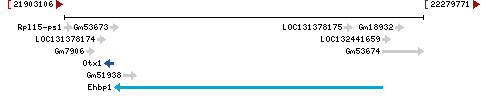 Genomic Context describing neighboring genes