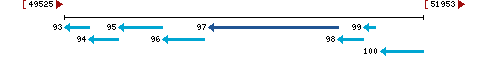 Genomic Context describing neighboring genes