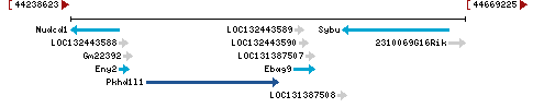 Genomic Context describing neighboring genes