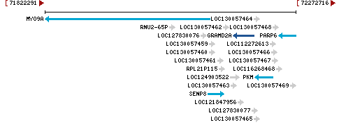 Genomic Context describing neighboring genes