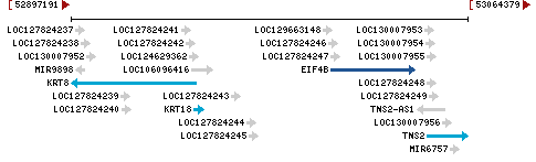 Genomic Context describing neighboring genes