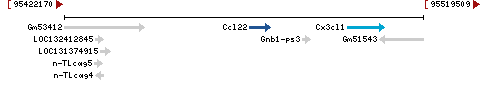 Genomic Context describing neighboring genes