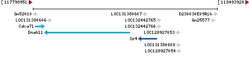 Genomic Context describing neighboring genes