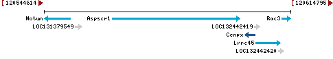 Genomic Context describing neighboring genes