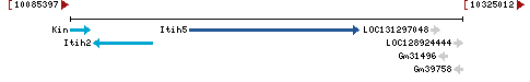 Genomic Context describing neighboring genes