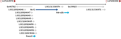 Genomic Context describing neighboring genes