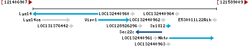 Genomic Context describing neighboring genes