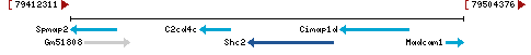 Genomic Context describing neighboring genes