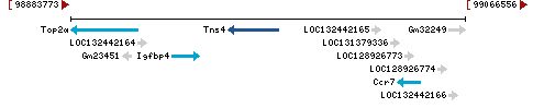 Genomic Context describing neighboring genes