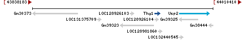 Genomic Context describing neighboring genes