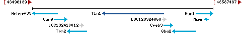 Genomic Context describing neighboring genes