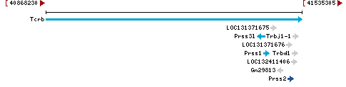 Genomic Context describing neighboring genes