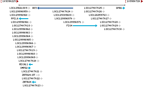 Genomic Context describing neighboring genes