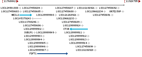 Genomic Context describing neighboring genes