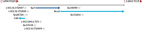 Genomic Context describing neighboring genes