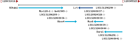 Genomic Context describing neighboring genes