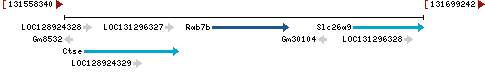 Genomic Context describing neighboring genes