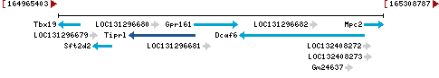 Genomic Context describing neighboring genes