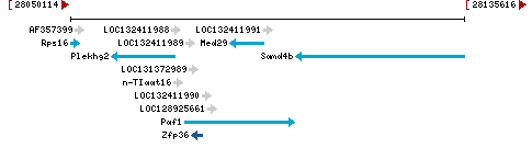 Genomic Context describing neighboring genes