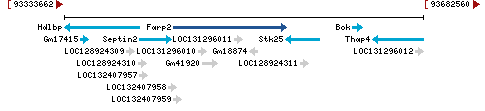 Genomic Context describing neighboring genes