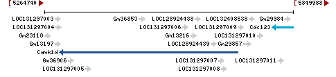 Genomic Context describing neighboring genes