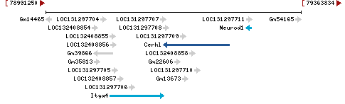 Genomic Context describing neighboring genes