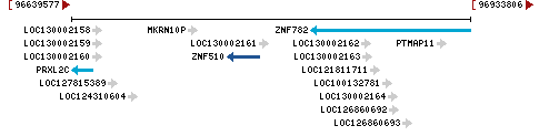 Genomic Context describing neighboring genes