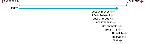 Genomic Context describing neighboring genes