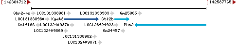 Genomic Context describing neighboring genes