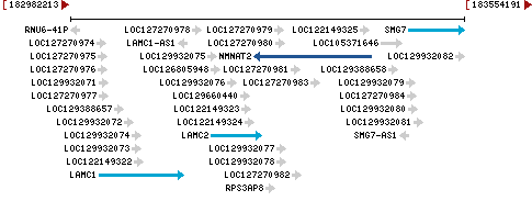 Genomic Context describing neighboring genes