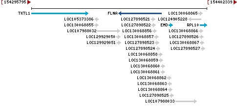 Genomic Context describing neighboring genes