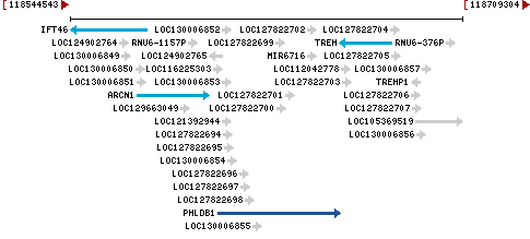 Genomic Context describing neighboring genes