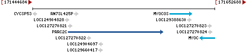 Genomic Context describing neighboring genes